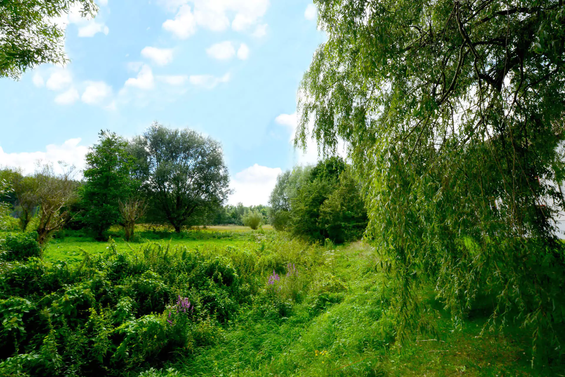 Landidyll zum Kennenlernen 2 / 3 / 5 oder 7-Tage 2026