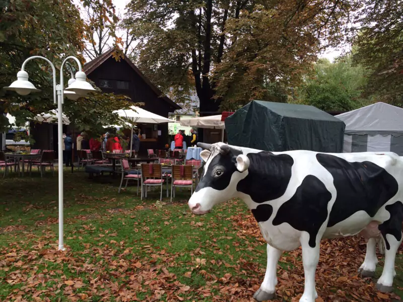 17.Tautewälder Laubfest