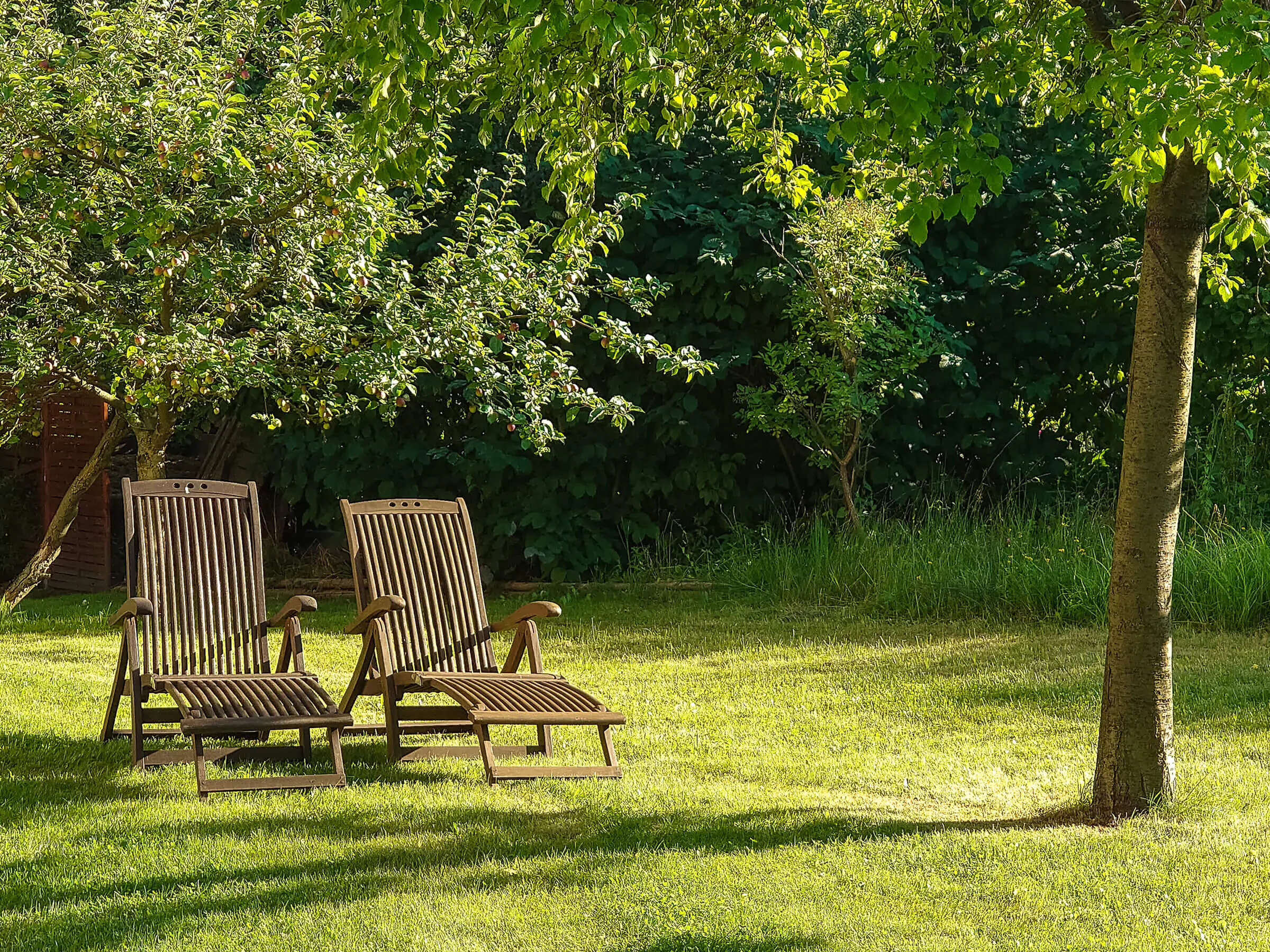 Guten Morgen wünscht Familie Schulz & Team