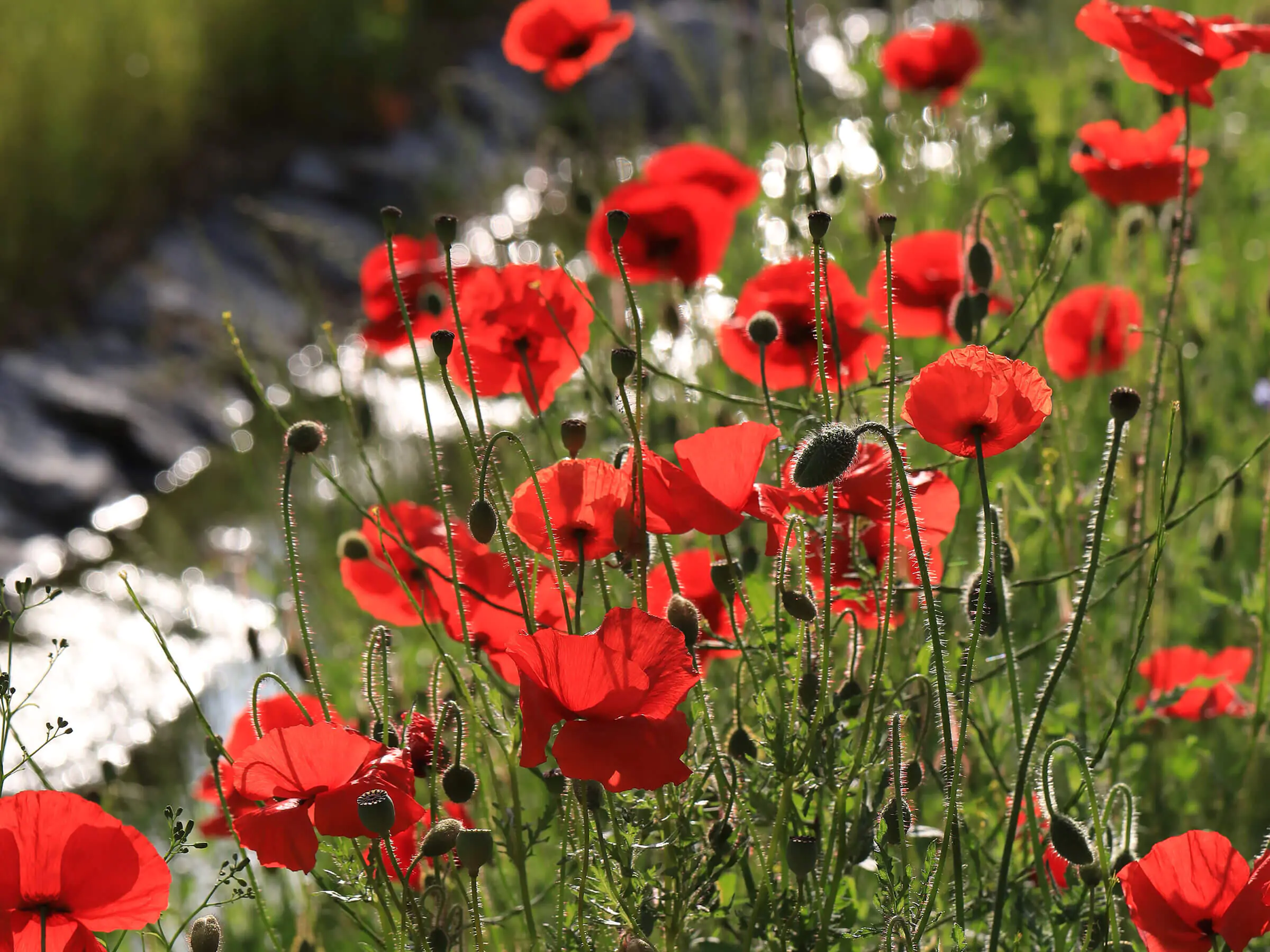 Den Tag entspannt genießen...